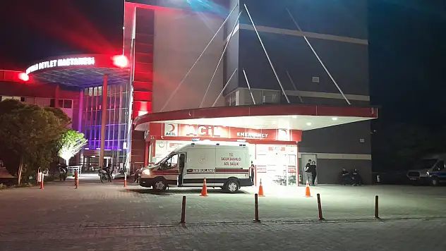 Konya'da Islık Yolu'nda köpeğe çarpan araç savruldu, yaralılar var