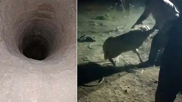 Konya'da itfaiye ekipleri seferber oldu: 2 gün sonra kurtarıldı