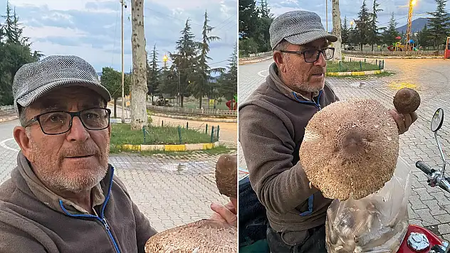 Konya'da mantar sürprizi: Görenler gözlerine inanamadı!