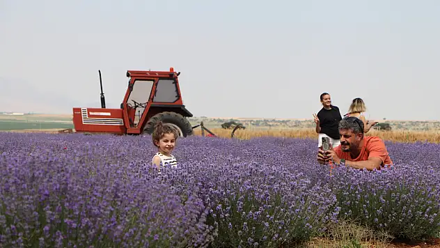 Konya'da susuz tarımın en güzel örneği: Görsel şölen sunuyor