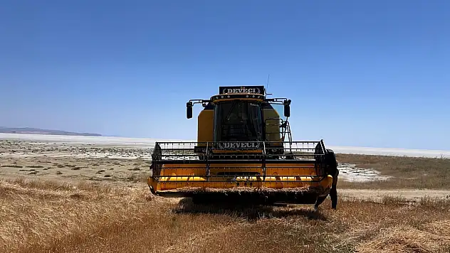 Konya Kulu'da yağışlar verimi artırdı, dekarda 500 kilograma kadar ürün bekleniyor