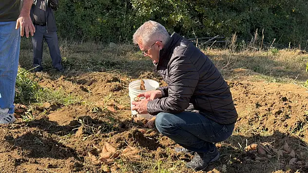 Konya'nın ilçesinde bir ilk: Mor, beyaz, turuncu ve pembe renkli tatlı patates hasadı yapıldı!