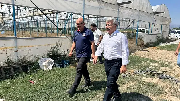 Konya'nın ilçesinde tarımsal çeşitlilik artıyor: Sera ve böğürtlen tesisleri üretime güç katıyor