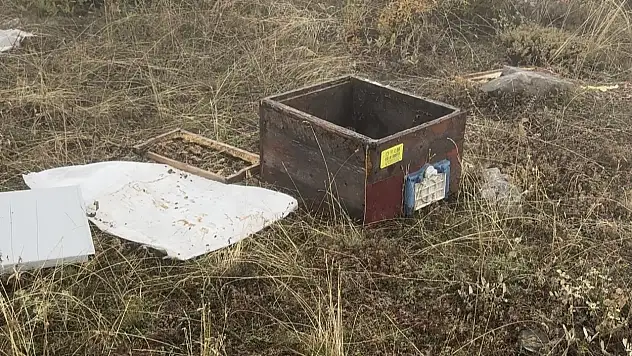 Kovanları ayı tarafından dağıtılan Konyalı arıcıdan tebessüm ettiren tepki: Aslanım ayı, ye oğlum