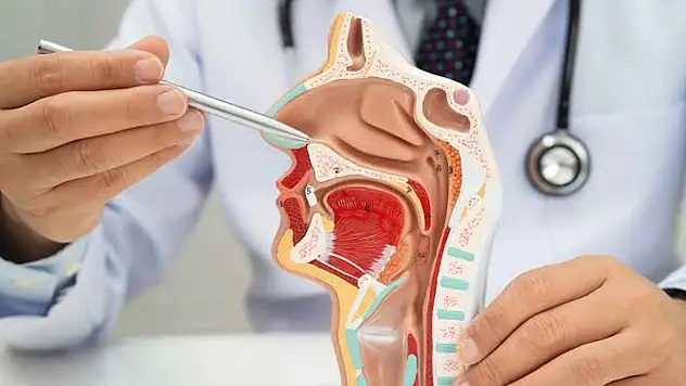 Okul başarısını düşüren gizli tehlike: KBB rahatsızlıkları
