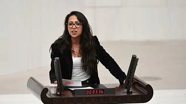 Sera Kadıgil'e Cumhurbaşkanına hakaretten soruşturma