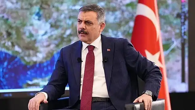 Sokak hayvanları düzenlemesinde son durum: Türkiye genelinde yüzde 83'ü toplandı