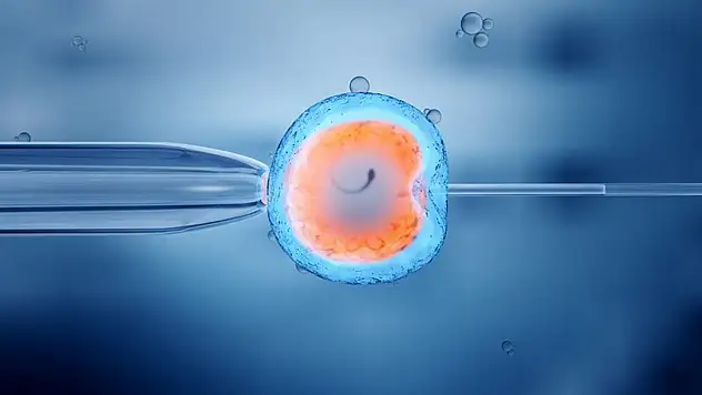 Tüp Bebek Tedavisine Ne Zaman Karar Verilmeli?