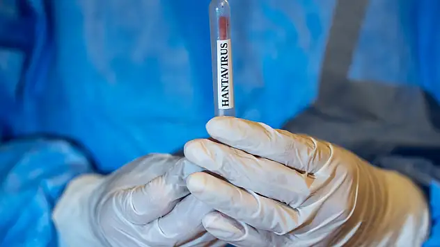Dikkat: Kemirgen teması ve kirli alanlar virüs saçıyor!  Hantavirüs nedir, pandemi riski var mı?