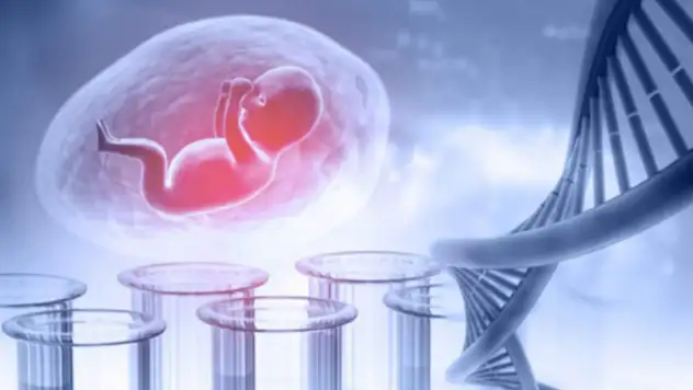 Yargıtay'dan emsal DNA kararı