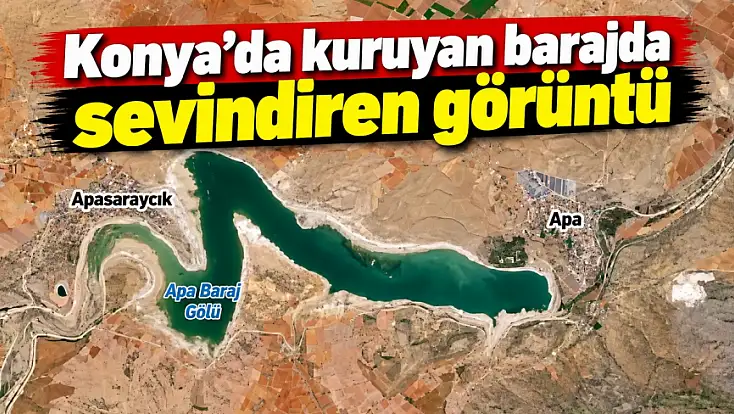 Konya’da kuruyan barajda sevindiren görüntü