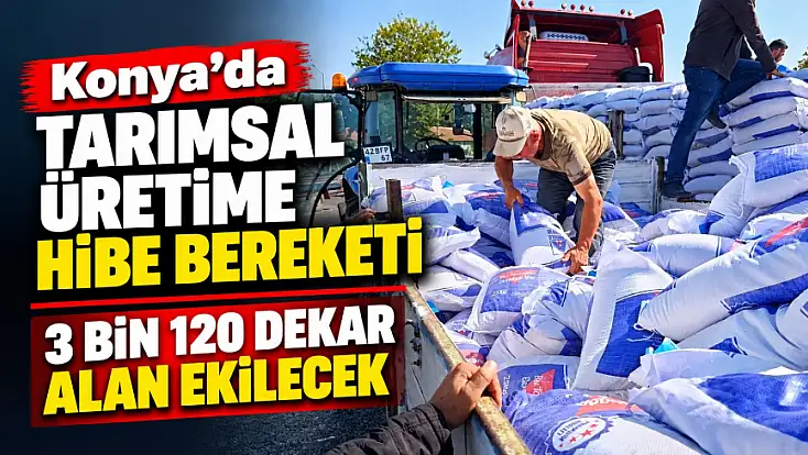 Konya'da tarımsal üretime hibe bereketi: 3 bin 120 dekar alan ekilecek