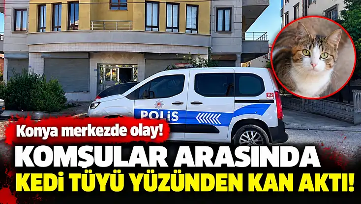 Konya merkezde olay! Komşular arasında kedi tüyü yüzünden kan aktı!