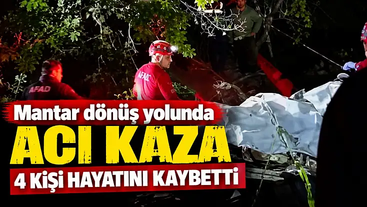 Mantar dönüş yolunda acı kaza: 4 kişi hayatını kaybetti
