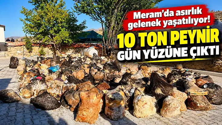 Meram’da asırlık gelenek yaşatılıyor! 10 ton peynir gün yüzüne çıktı