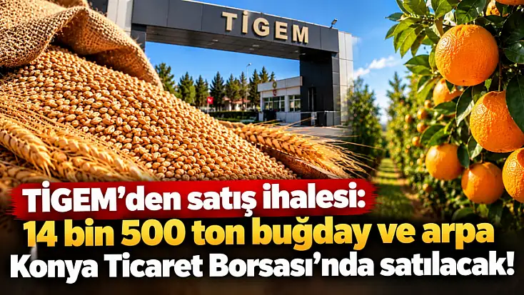 TİGEM'den satış ihalesi: 14 bin 500 ton buğday ve arpa Konya Ticaret Borsası'nda satılacak!