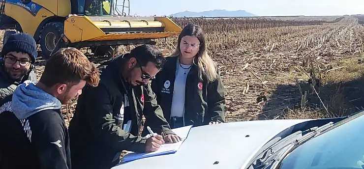 Karapınar'da çerezlik ayçiçeği hasadında biçerdöver denetimi