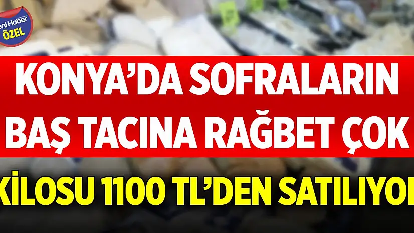 Konya'da sofraların baş tacına rağbet çok! Kilosu 1100 TL'den satılıyor