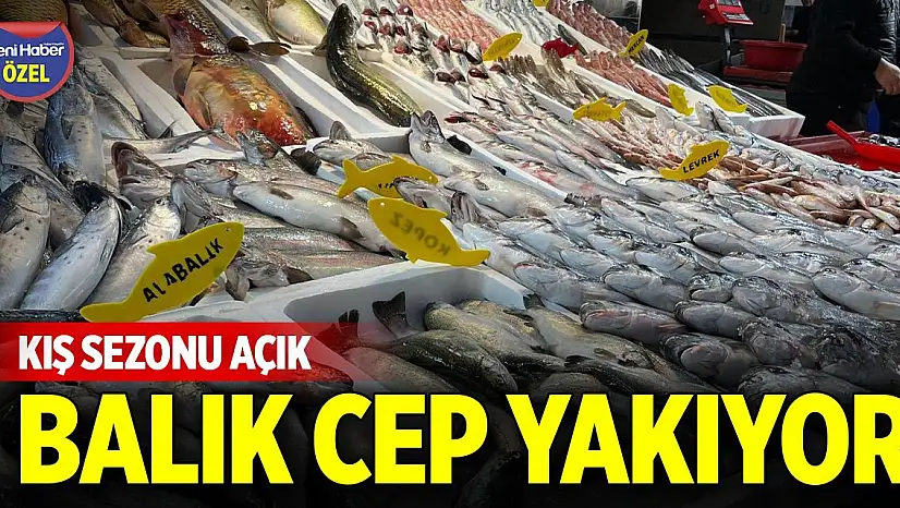 Kış sezonu açık, balık cep yakıyor