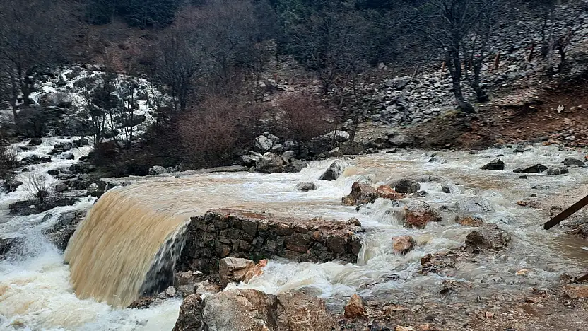 Konya'da Aygırdibi canlandı!