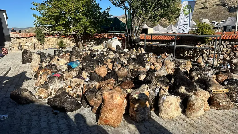 Meram'da asırlık gelenek yaşatılıyor! 10 ton peynir gün yüzüne çıktı
