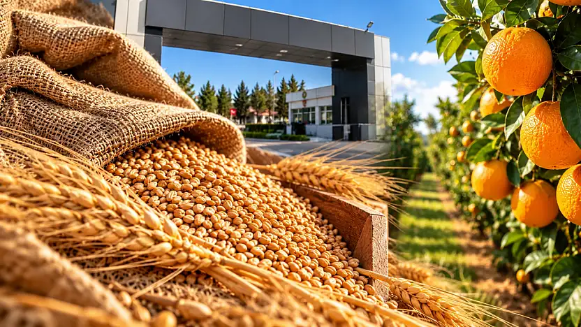 TİGEM'den satış ihalesi: 14 bin 500 ton buğday ve arpa Konya Ticaret Borsası'nda satılacak!