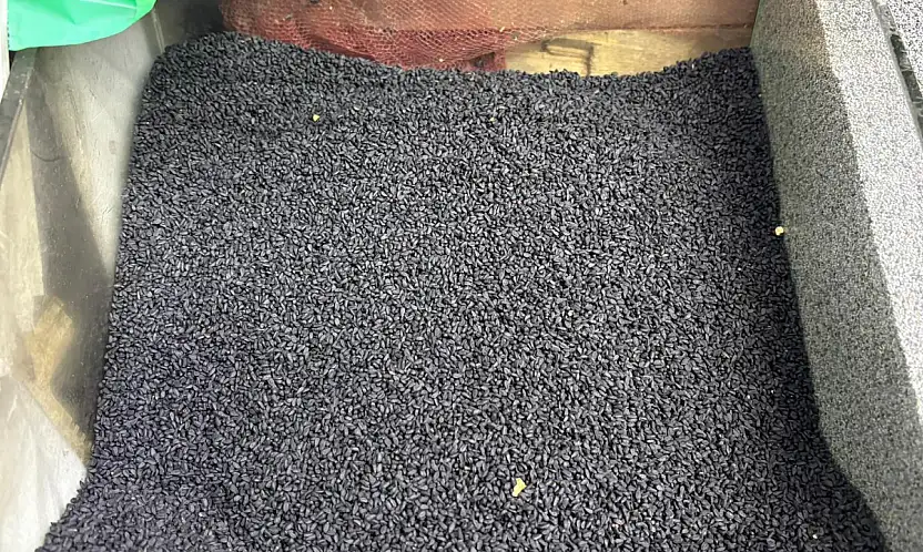 Aktarların dilinde ki şifa! Ölüm dışında her derde deva