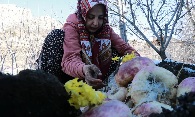 Konya'nın ilçesinde asırlık gelenek: Tatları bahçeden yeni toplanmış gibi oluyor