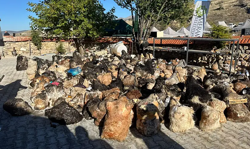 Meram'da asırlık gelenek yaşatılıyor! 10 ton peynir gün yüzüne çıktı