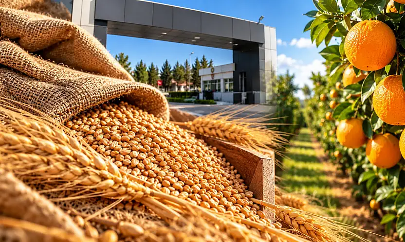 TİGEM'den satış ihalesi: 14 bin 500 ton buğday ve arpa Konya Ticaret Borsası'nda satılacak!
