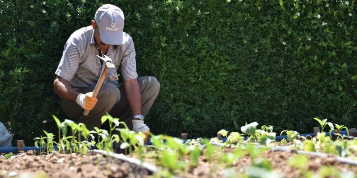 İşte Karatay Hobi Bahçelerinin yeni hak sahipleri
