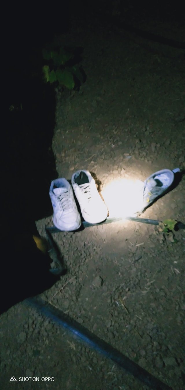 117260982-777391483062749-4995752533819243387-o-1.jpg