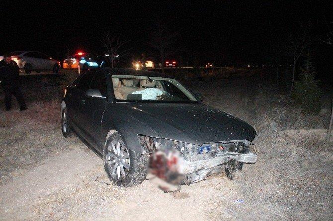 Başkan’ın makam aracı domuz sürüsüne çarptı