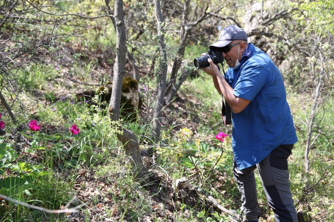 Bu çiçeği koparmanın cezası 60 bin TL