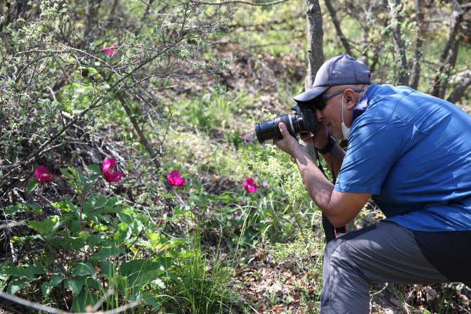 Bu çiçeği koparmanın cezası 60 bin TL