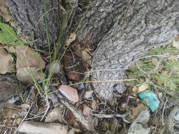 İçişleri: 5 sivili şehit eden terörist etkisiz hale getirildi