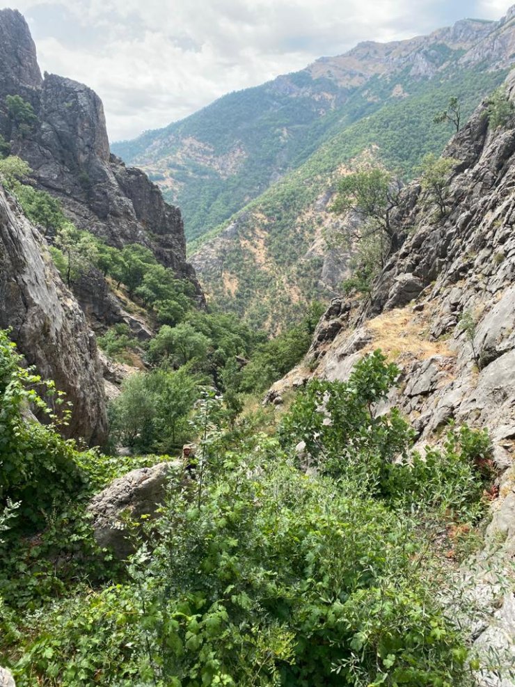 İçişleri Bakanlığı: Tunceli'de 'Yıldırım-4 Munzur-Kutu' operasyonu başlatıldı