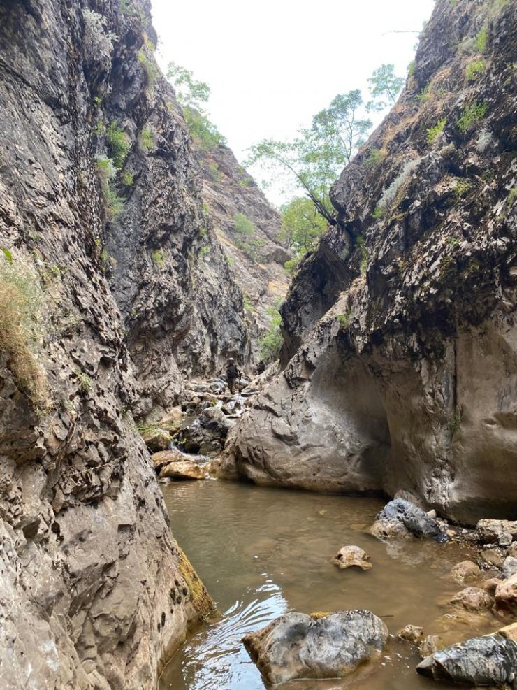 İçişleri Bakanlığı: Tunceli'de 'Yıldırım-4 Munzur-Kutu' operasyonu başlatıldı