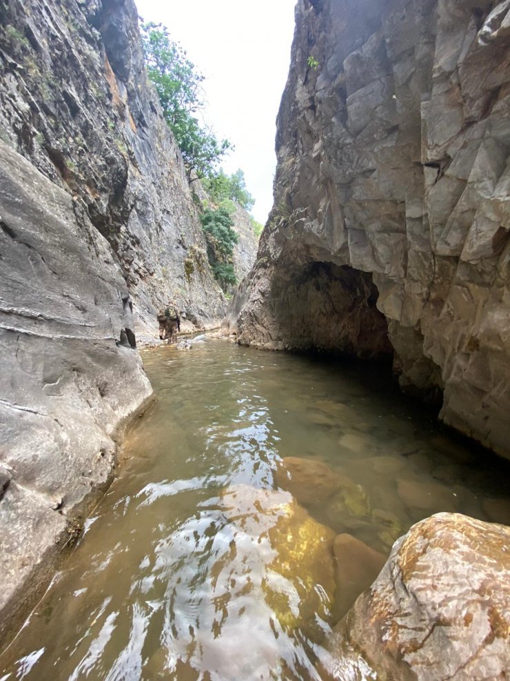 İçişleri Bakanlığı: Tunceli'de 'Yıldırım-4 Munzur-Kutu' operasyonu başlatıldı