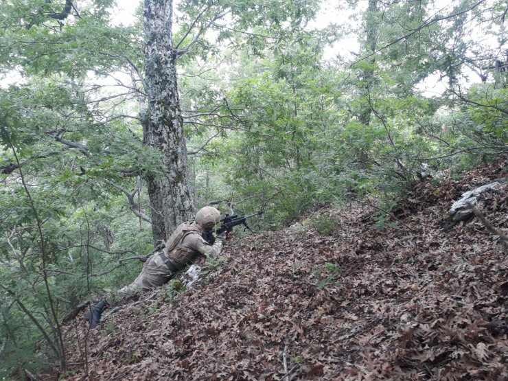 Hatay'da 'Yıldırım-5 Amanoslar Operasyonu' başlatıldı