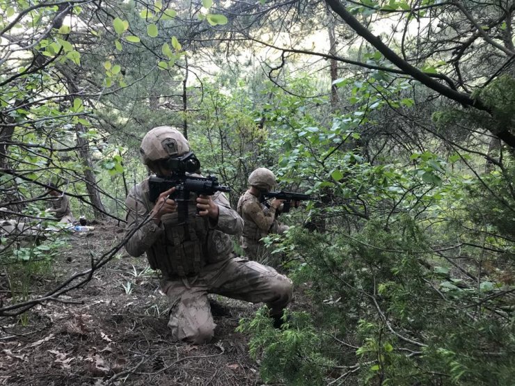 Hatay'da 'Yıldırım-5 Amanoslar Operasyonu' başlatıldı