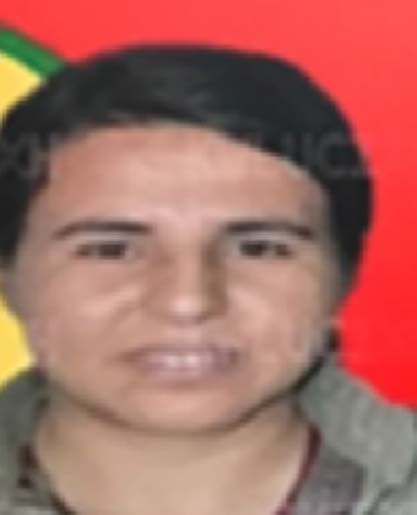 Gri Liste'deki terörist Bitlis'te etkisiz hale getirildi