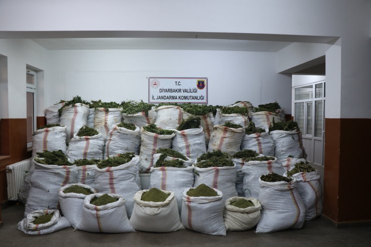 Diyarbakır'da 4 milyon kök kenevir ve 800 kilo esrar ele geçirildi