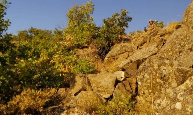 Yıldırım-9 Şenyayla Operasyonu başlatıldı