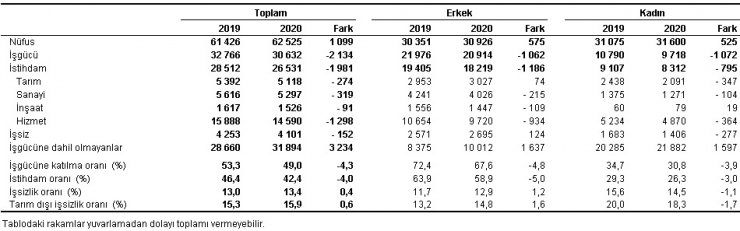 TÜİK-İşsizlik Haziran döneminde yüzde 13.4'e yükseldi (2)