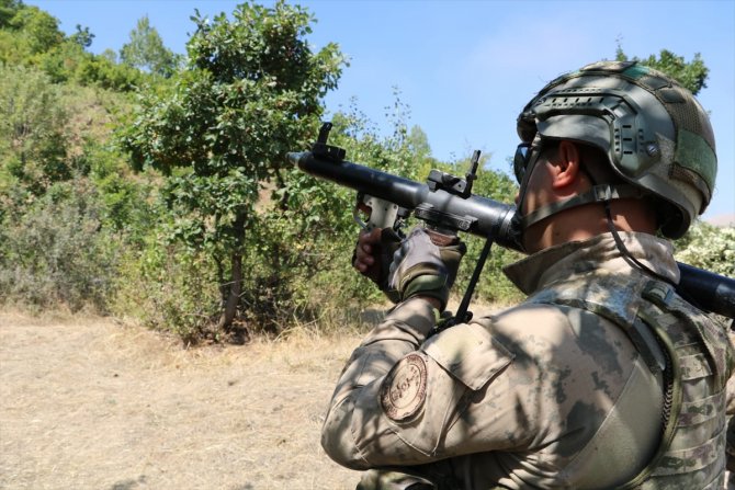 Bitlis'te Yıldırım-12 Beşyanak Operasyonu başlatıldı