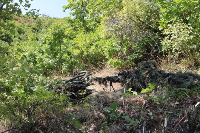 Bitlis'te Yıldırım-12 Beşyanak Operasyonu başlatıldı