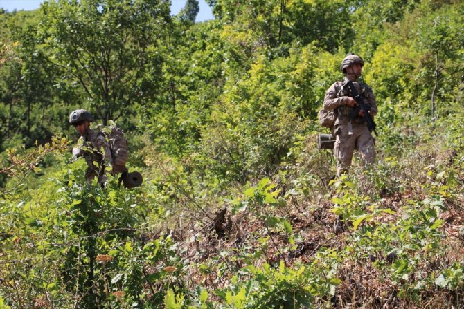 Bitlis'te Yıldırım-12 Beşyanak Operasyonu başlatıldı