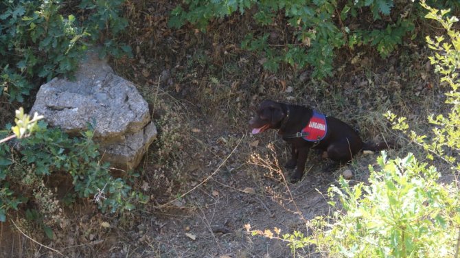 Bitlis'te Yıldırım-12 Beşyanak Operasyonu başlatıldı