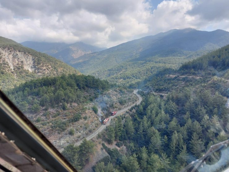 Hatay'da ormanı 8 noktadan ateşe veren şüpheli tutuklandı